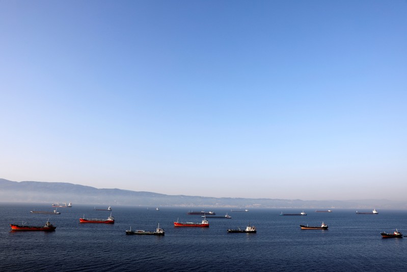 Oil tankers wait to dock at Tupras refinery near the northwestern Turkish city of Izmit