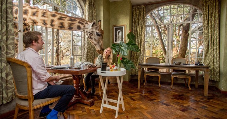 5 resorts where you can vacation with exotic animals