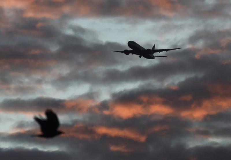 FILE PHOTO - A bird passes in the foreground as a passenger aircraft makes it's final landing approach towards Heathrow Airport at dawn in west London Britain