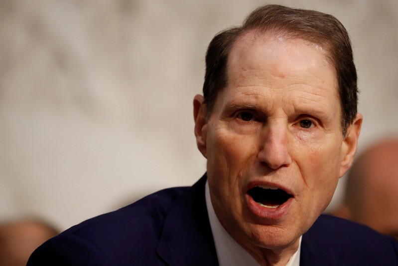 Sen. Ron Wyden (D-OR) speaks during a markup on the 