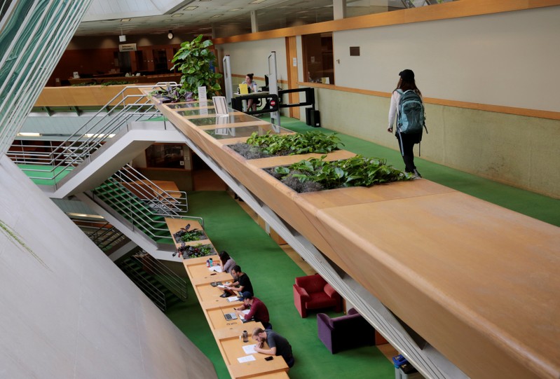 FILE PHOTO: Students study in the Allan and Alene Smith Law Library addition at the University of Michigan in Ann Arbor