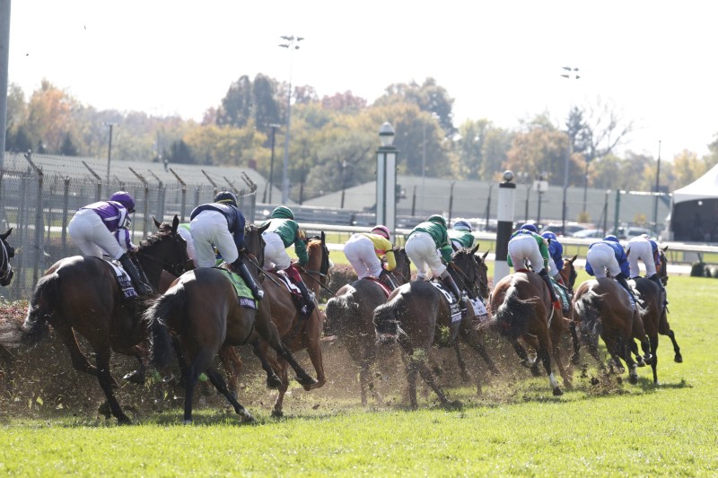 Horse Racing: 35th Breeders Cup World Championships