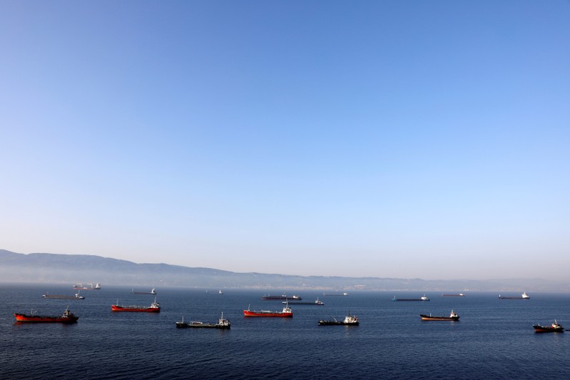FILE PHOTO: Oil tankers wait to dock at Tupras refinery near the northwestern Turkish city of Izmit