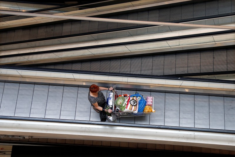 FILE PHOTO: A customer pushes a shopping trolley on an escalator at the Bercy shopping centre in Charenton Le Pont, near Paris