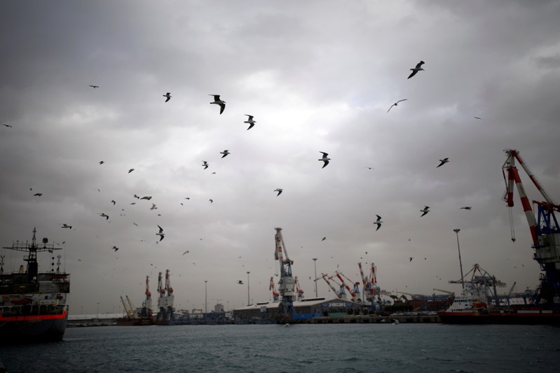 FILE PHOTO: A general view shows seagulls in Ashdod port as a storm approaches Israel's shores