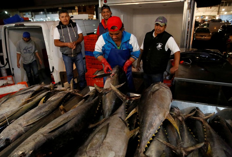 FILE PHOTO: A worker checks the quality of Mexican tuna displayed at a fish market in Mexico City