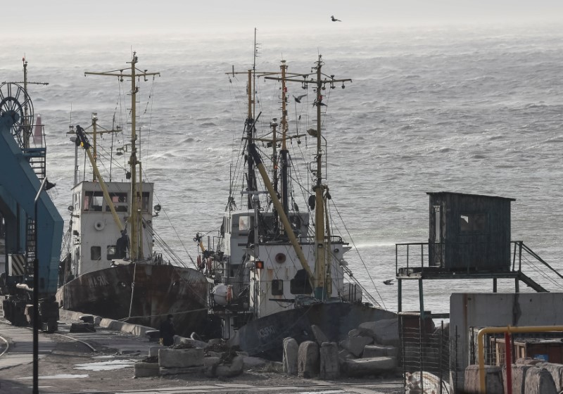 Ships are seen in the Azov Sea port of Berdyansk