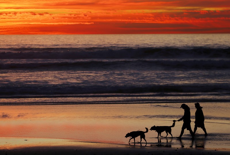 FILE PHOTO: People walk their dogs along the beach after sunset in Cardiff, California