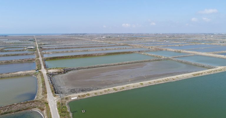 Google is building a solar power project above fishing ponds in Taiwan, its first in Asia