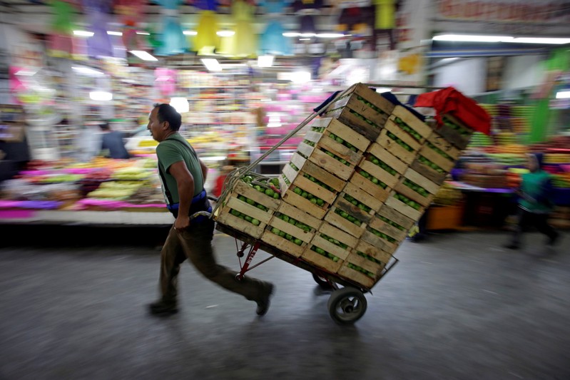 FILE PHOTO: A worker moves boxes with green tomatoes through the corridors of the wholesale market 