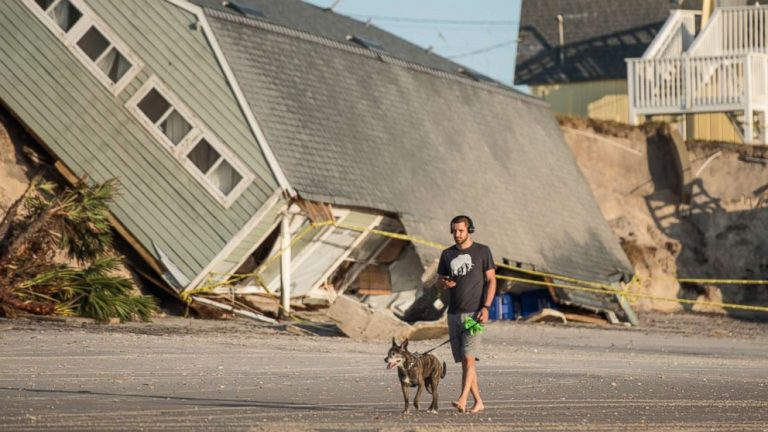 Bill would make it illegal to abandon tied-up dogs during hurricanes