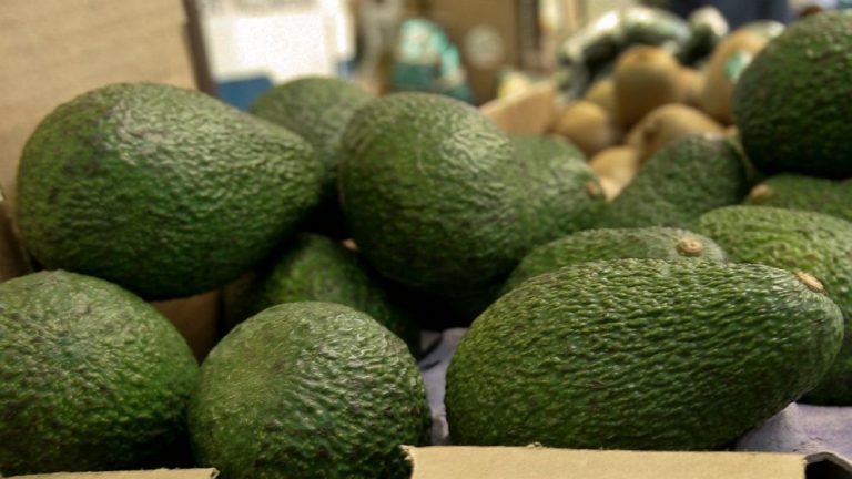 California grower recalls avocados over possible listeria