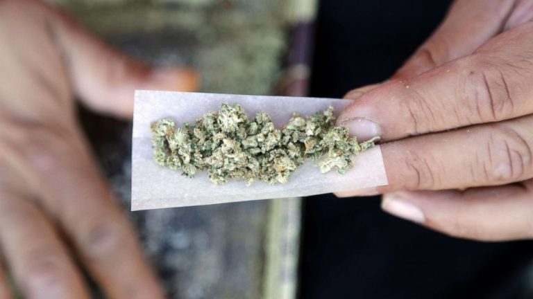 Daily consumption of marijuana may have serious mental consequences: Study