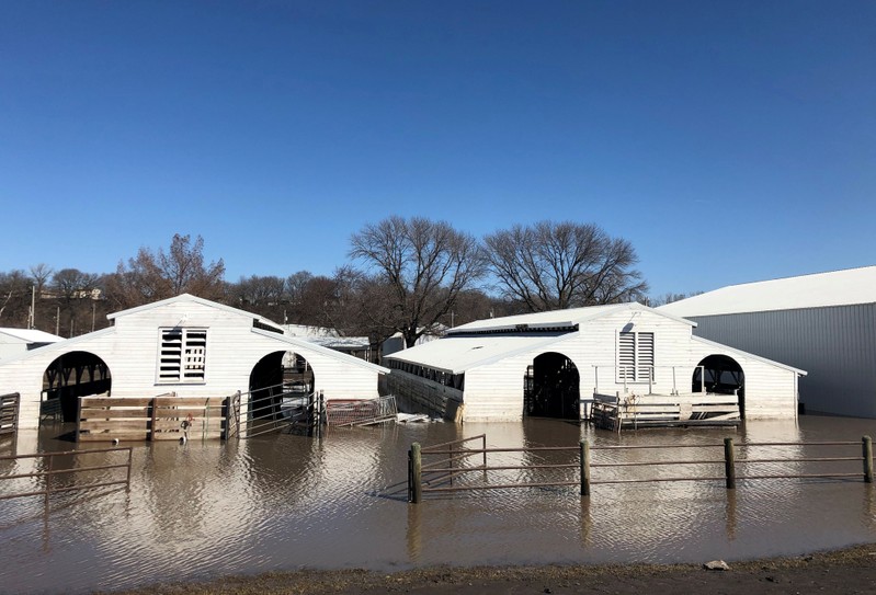 FILE PHOTO: Paddocks at Nebraska's Washington County Fairgrounds are shown underwater due to flooding in Arlington, Nebraska