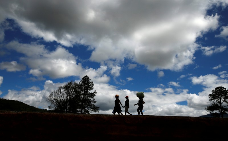 Survivors move to high ground at Peacock growth point in Chimanimani