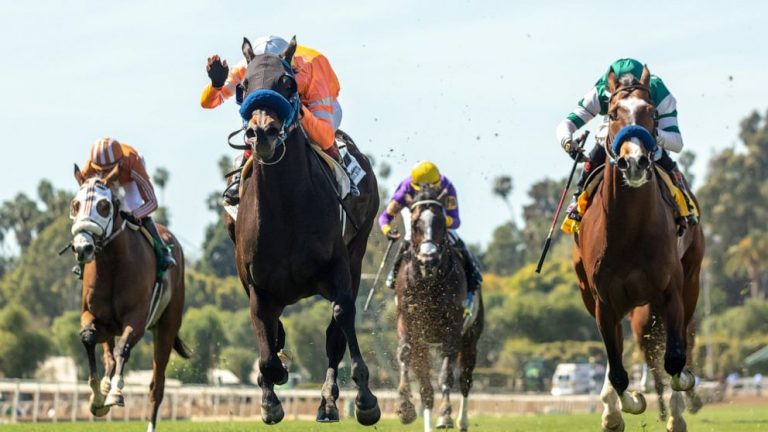 23rd horse dies at Santa Anita after racing accident