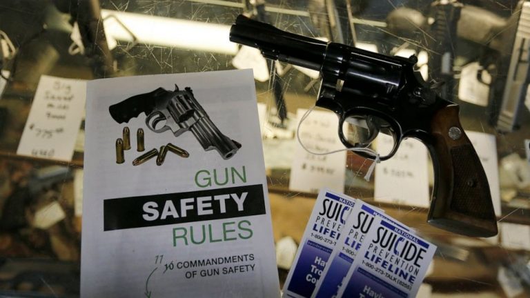 Bill would let authorities take guns if person deemed threat