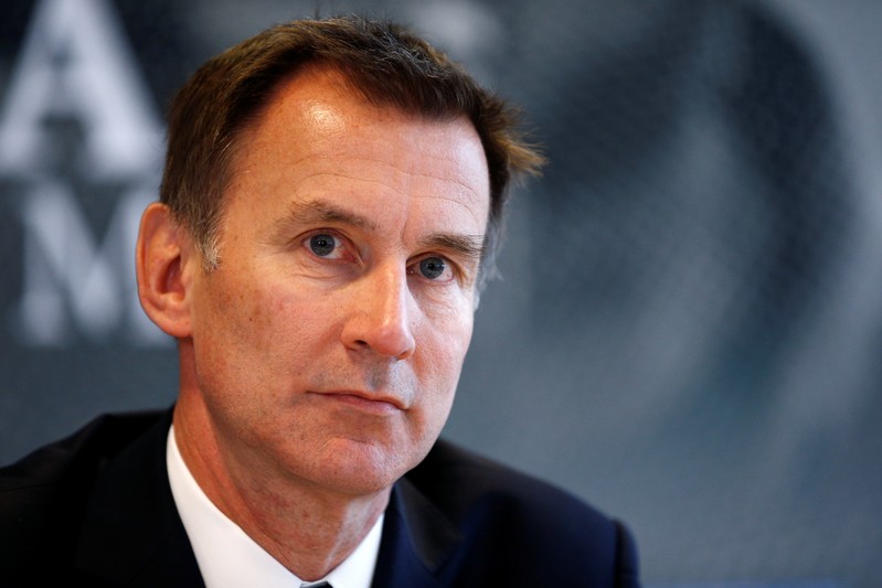 FILE PHOTO: Britain's Foreign Secretary Jeremy Hunt attends a news conference on media freedom as part of the G7 Foreign Ministers' meeting in Dinard