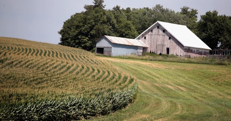 Census of Agriculture shows continued decline in number of US farms