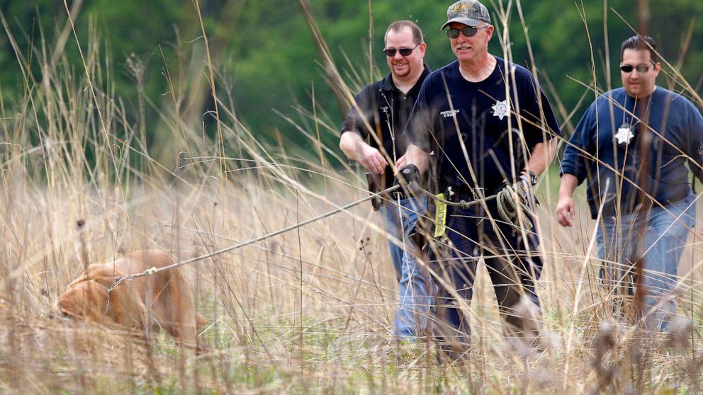 Joliet Police search Castle Rock State Park wetlands for evidence in Timmothy Pitzen's disappearance, May 19, 2011.