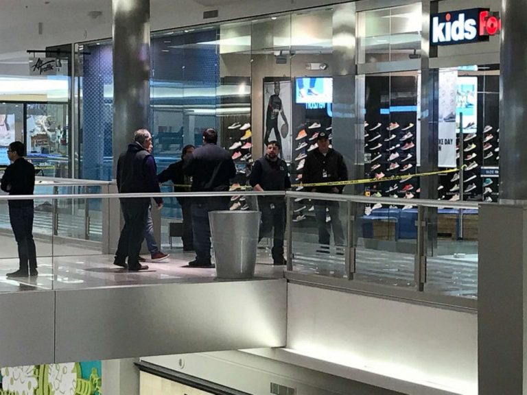 Man who threw 5-year-old from mall balcony was ‘looking to kill’: Police