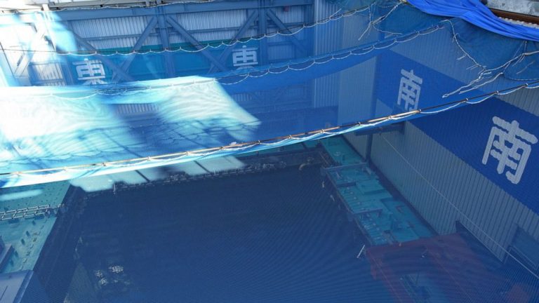 Removal of fuel in pool at Fukushima’s melted reactor begins