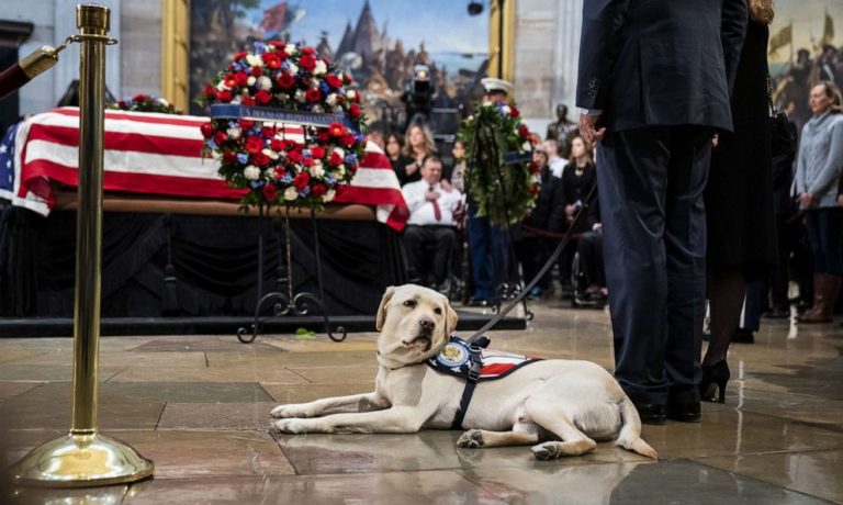 US Postal Service announces new ‘Forever’ stamp honoring the late George H.W. Bush