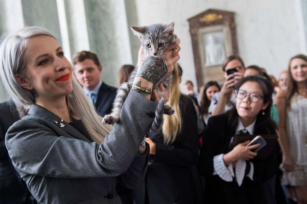 Hannah Shaw, an animal advocate known as "Kitten Lady," attends an event to promote bipartisan legislation to end the Department of Agriculture's scientific testing on kittens, in Washington, June 7, 2018.