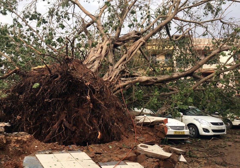 Cars are damaged by an uprooted tree in a residential area following Cyclone Fani in Bhubaneswar