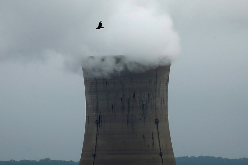 FILE PHOTO: A bird flies over the Three Mile Island Nuclear power plant in Goldsboro