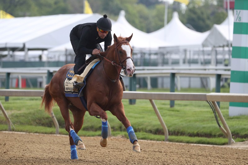 FILE PHOTO: Horse Racing: Preakness Workouts