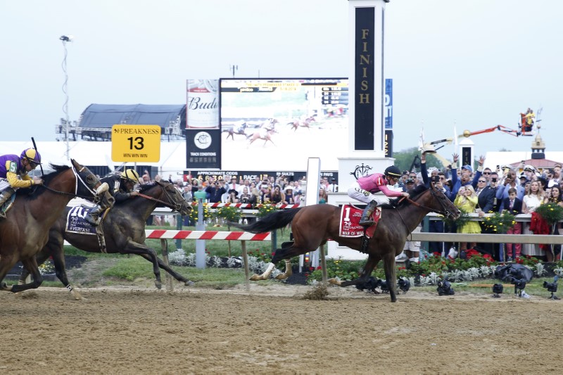 Horse Racing: 144th Preakness