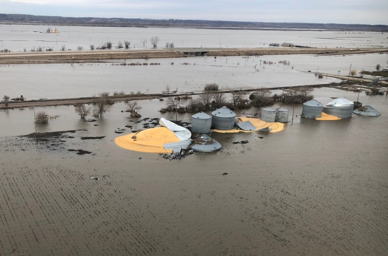 FILE PHOTO: The contents of grain silos which burst from flood damage are shown in south western Iowa
