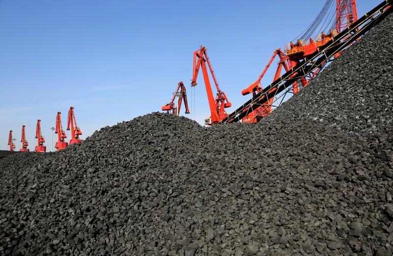 FILE PHOTO: Cranes unload coal from a cargo ship at a port in Lianyungang