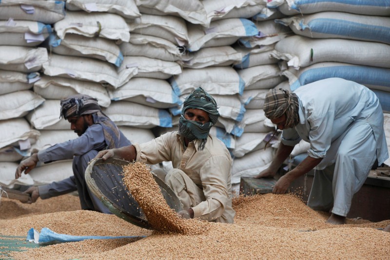 FILE PHOTO: Laborers clean a pile of dry chickpea outside a warehouse in Karachi, Pakistan