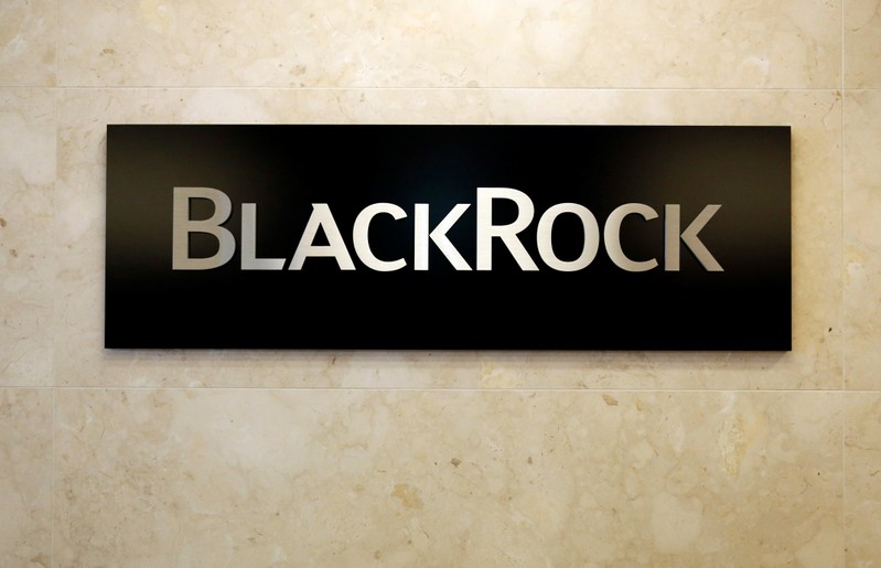 BlackRock logo is seen at the BlackRock Japan headquarters in Tokyo