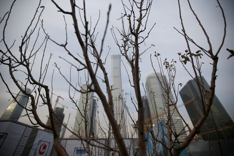 A tree is pictured in front of buildings in Beijing's central business area