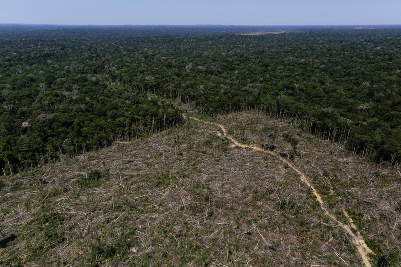 FILE PHOTO: An aerial view shows deforested land during 