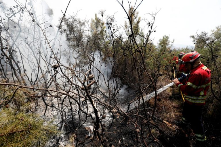 Strong winds reignite wildfires in central Portugal
