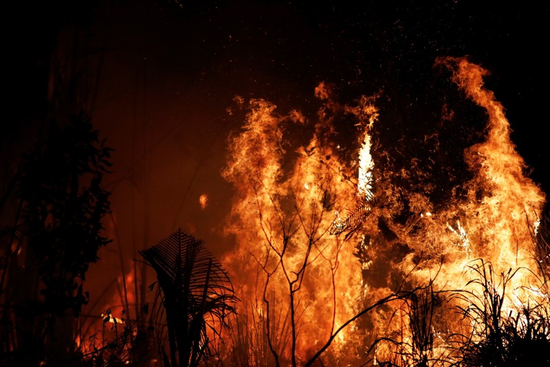 Fire burns a tract of Amazon jungle as it is cleared by loggers and farmers near Altamira