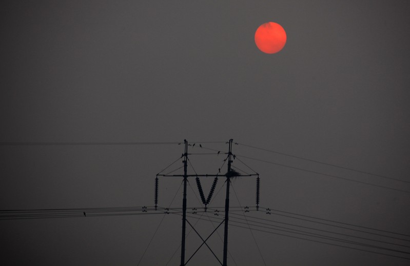FILE PHOTO - The sun rises through thick haze in front of birds nesting on electricity poles on the outskirts of Beijing