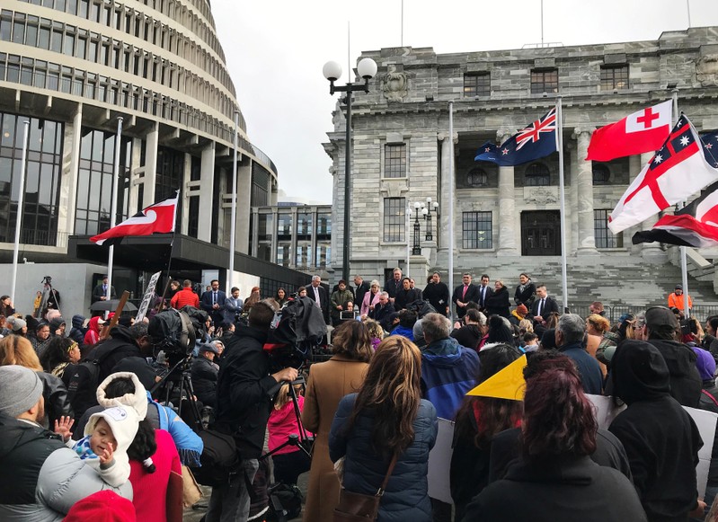 Ministers address hundreds of Maori protesters gathered outside parliament in Wellington