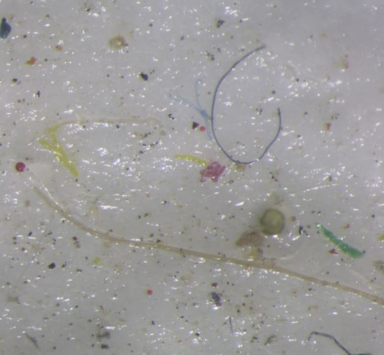 Microplastic found in ice core samples taken from the Northwest Passage is shown on a screen as part of an 18-day icebreaker expedition taking place in July and August 2019 in the Northwest Passage