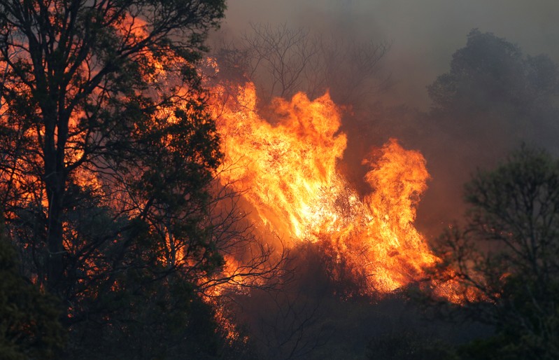 A bushfire rages near the rural town of Canungra in the Scenic Rim region of South East Queensland