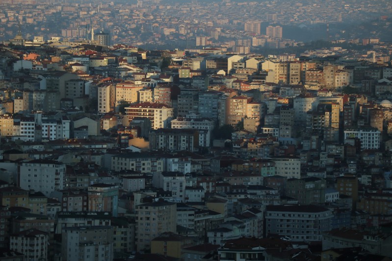 FILE PHOTO - Early morning sunlight cuts across residential housing that stretches to the horizon of Istanbul's skyline in Turkey