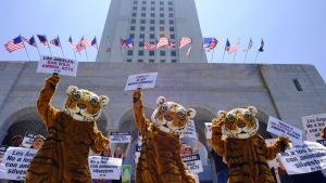 California bans fur sales and most animals from performing in the circus