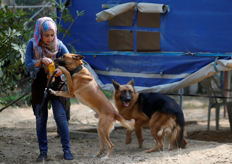 Palestinian woman Talya Thabet teaches a dog obedience commands in the central Gaza Strip