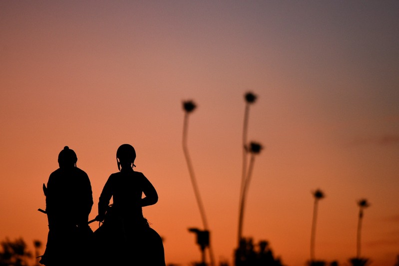 FILE PHOTO: Horse Racing: 36th Breeders Cup-Workouts