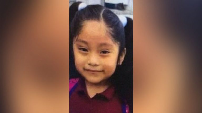New search planned for missing 5-year-old