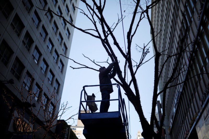 A man works on a tree at Myeongdong shopping district in Seoul